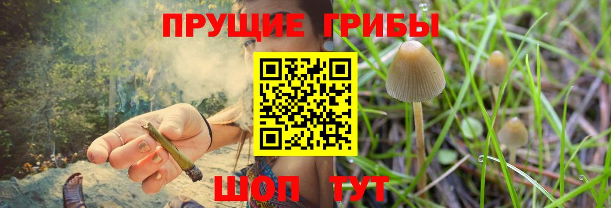 Псилоцибиновые грибы мицелий  Псилоцибиновые грибы MAGIC MUSHROOMS  Вход с VPN  Каменск-Шахтинский 